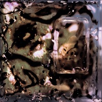 Irreversible - EP - COIDO