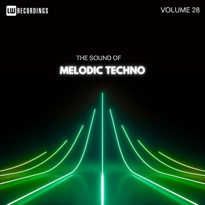The Sound of Melodic Techno, Vol. 28