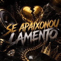 Se Apaixonou Lamento - Single - MC Negritin & MC MN