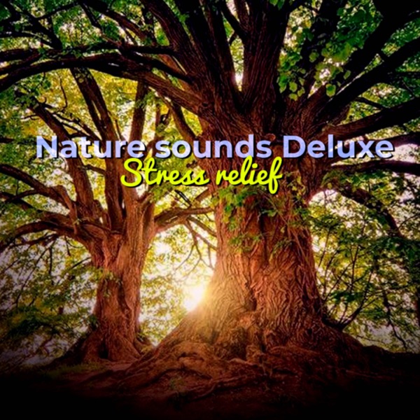 Nature Sounds Deluxe Stress Relief - EP