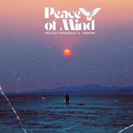 Peace Of Mind Realist Kingsolo & GIDYON