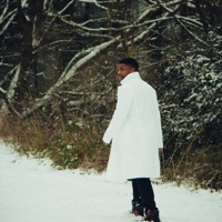 SNOW IN KNOXVILLE - EP - Lamont 865