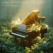 Light Music Classical Forest Deep Sleep Relaxation - Cool Music