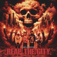 Reap The Gity - EBK LulMaxx