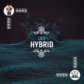 Hybrid