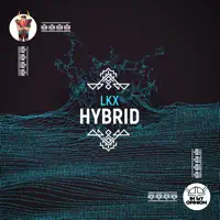 Hybrid — LKX