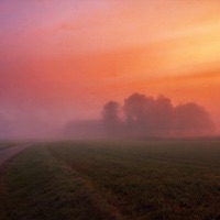 Damping - Single - Gluvi, Slower Lover & Stilly Night