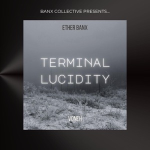 Terminal Lucidity (feat. Voneh)