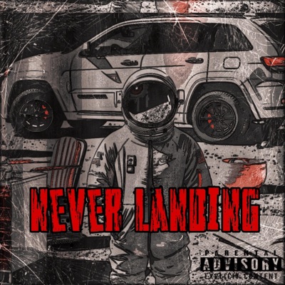 nvrlanding