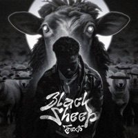 Black Sheep - Single - Trexto!