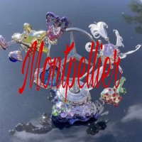 Montpellier - Single - Erion