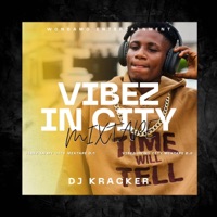 Vibez in my city Mixtape(Pukutua mehmeh) - Single - Dj kracker