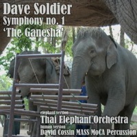 Dave Soldier Symphony No. 1 'The Ganesha' - Dave Soldier