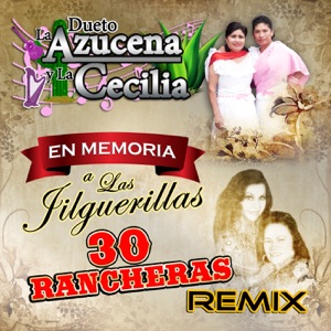 En Memoria a Las Jilguerillas 30 Rancheras (Remix)