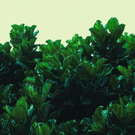 Crispy Leaves jeppa. & nomar.wav