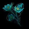 Limerence