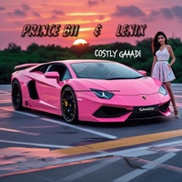 COSTLY GAADI (Afrobeats / Urbankiz) (feat. Lenix) - Single - Prince Bii