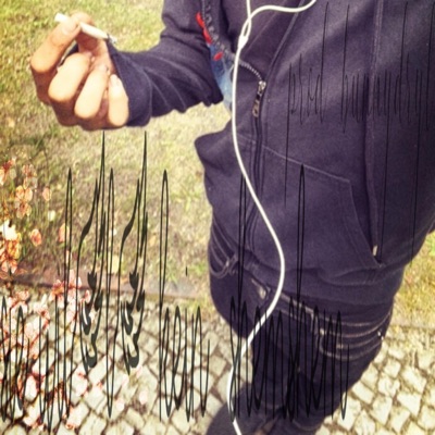 sie mag kein shemshem /bunnydryl - Single