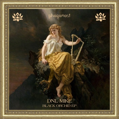 Black Orchid - Single