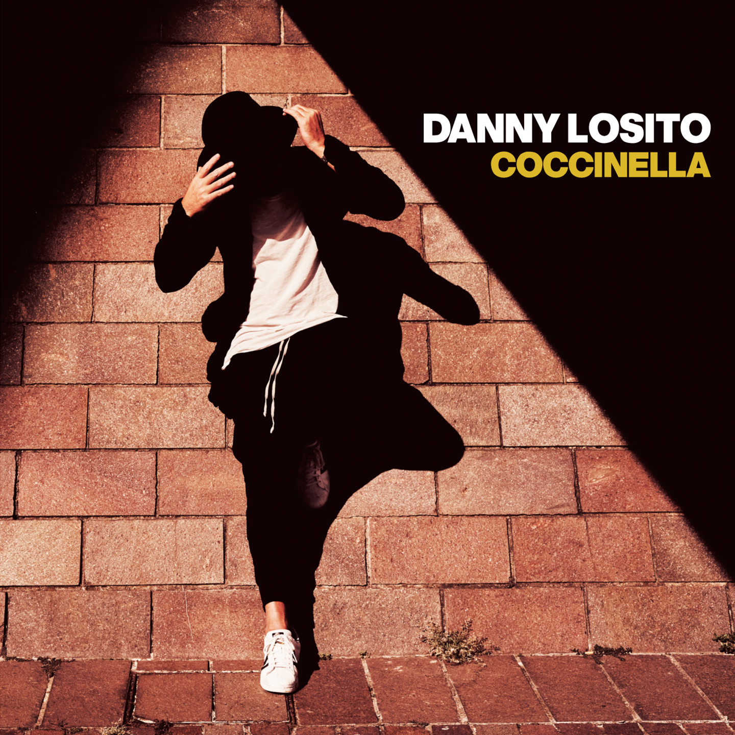 Danny Losito - Coccinella