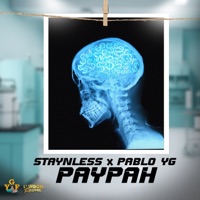 Paypah - Single - Staynless & Pablo YG