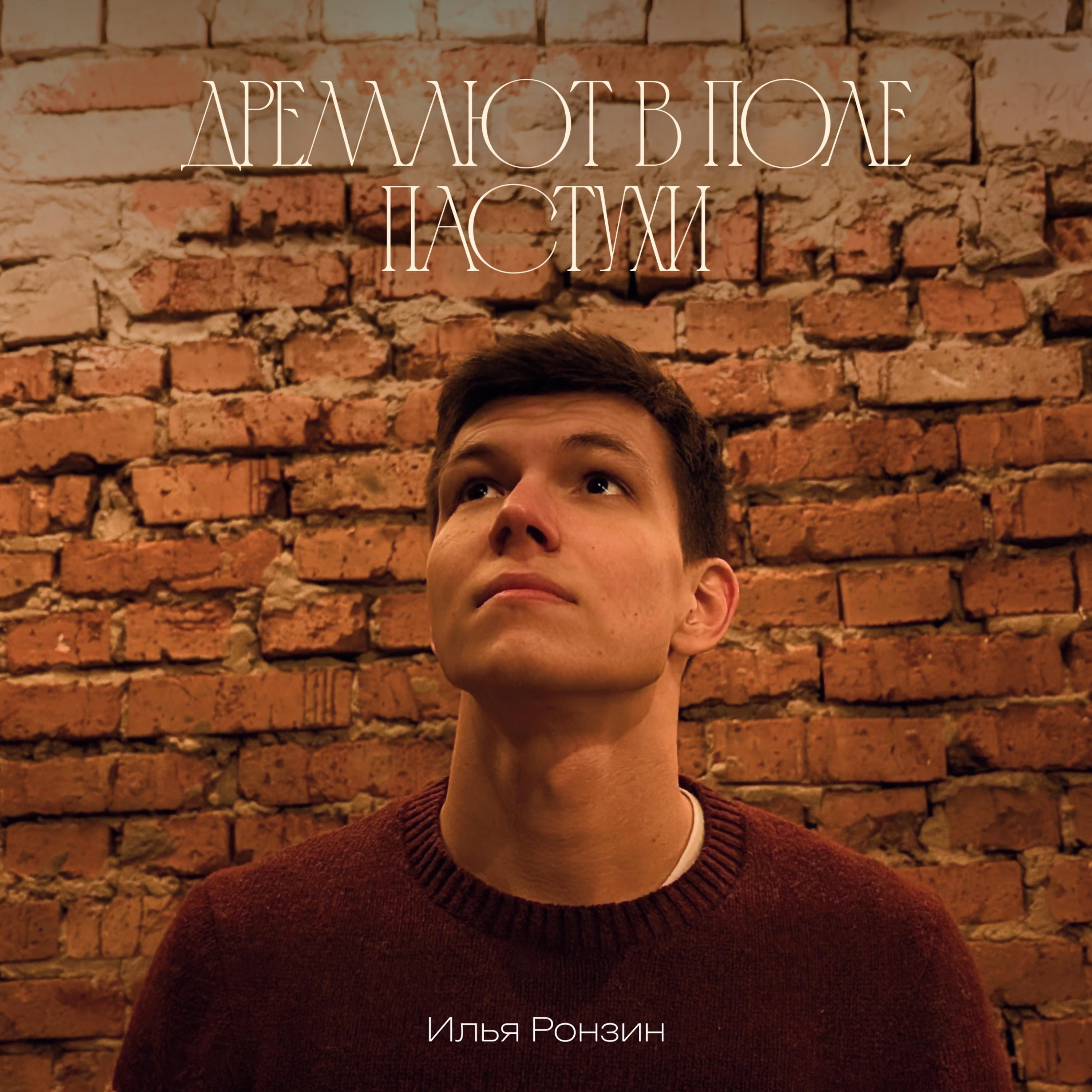 Дремлют в поле пастухи - Single