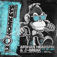 Fly So High - Single - Afghan Headspin & J-Break