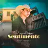 PINCEL DO SENTIMENTO