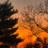 11 - Single - CkounZ