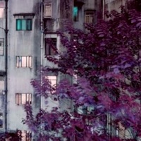 All in a dream - Single - Tenshii