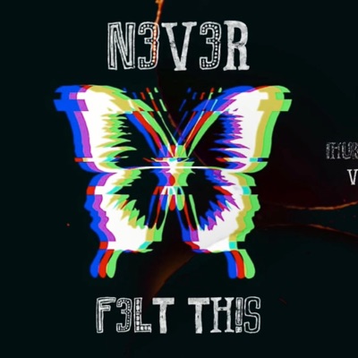 N3V3R F3LT TH!S (feat. !HUKOBO!) - Single