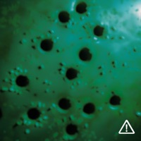 Down N Out - EP - gthomp