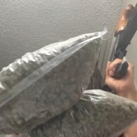 wut lmao (feat. kj2ugly) - Single - wokht