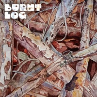 Sticks - Single - Burnt Log