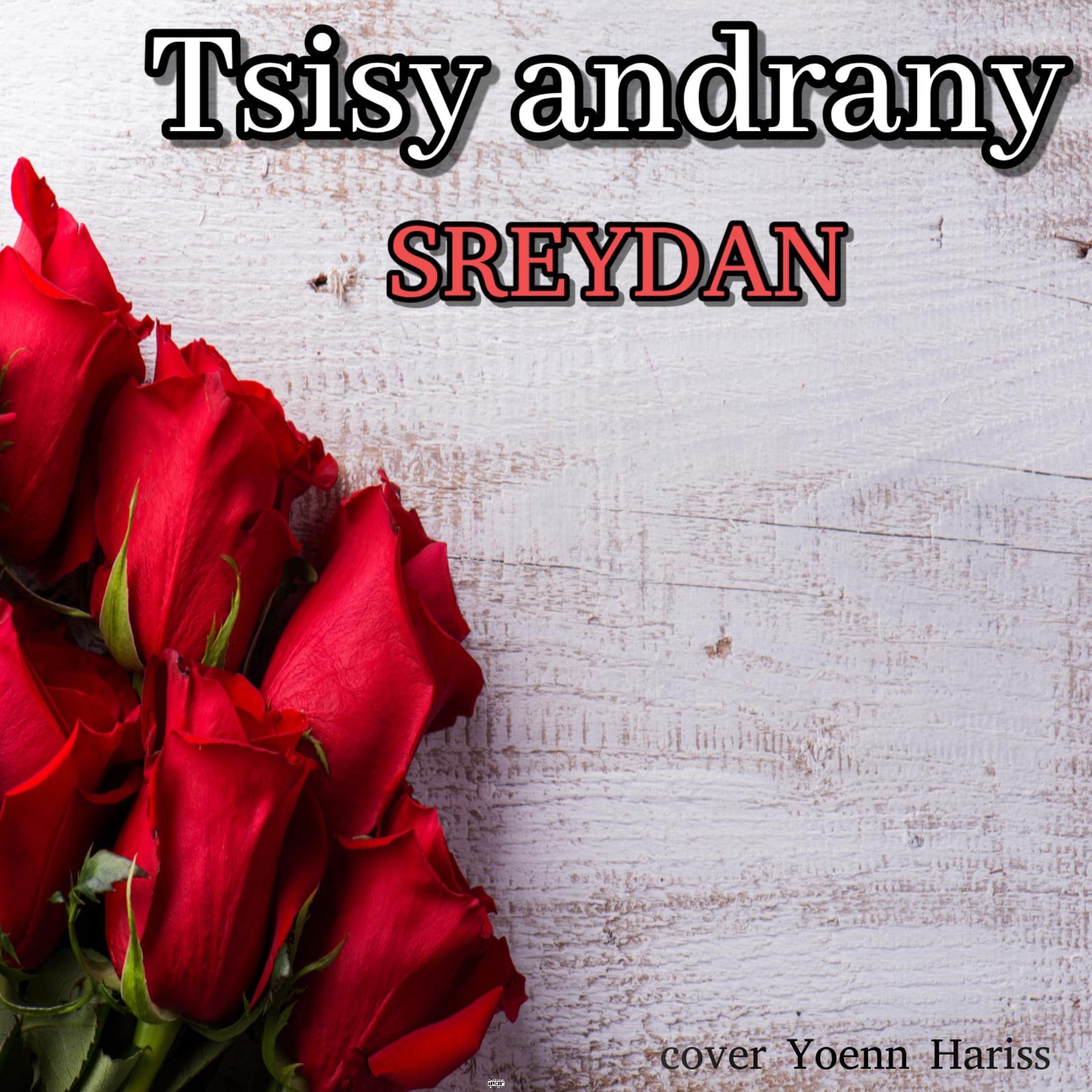 Tsisy andrany - Single
