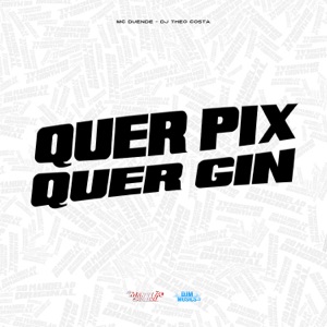 Quer Pix Quer Gin