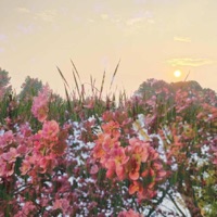 Way Home (feat. Zanthin) - Single - Soft Static