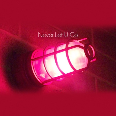 Never Let U Go (feat. Kamelia) - Single