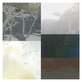 Emerald Bubbles Peter Bark & Rhucle