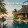 DJ Skjevik - Before The Summer Fades Away