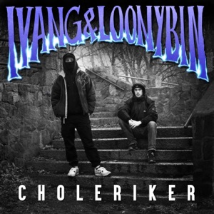 Choleriker