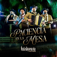 Paciencia en la Mesa - Single - Inteligencia Norteña