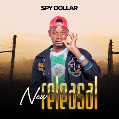 Spy DOLLAR DOBO gavament new2
