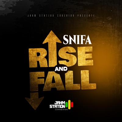 RISE & FALL - Single