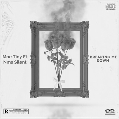 Breaking me down (feat. Moe tiny) - Single