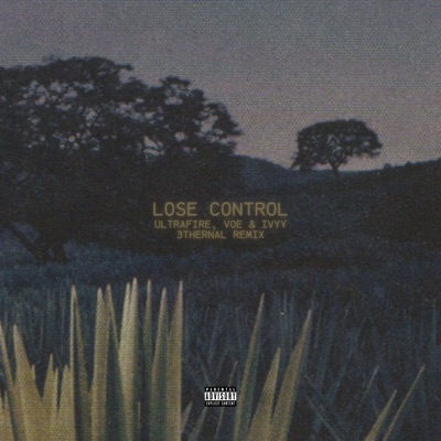 Lose Control (3thernal Remix) - Single