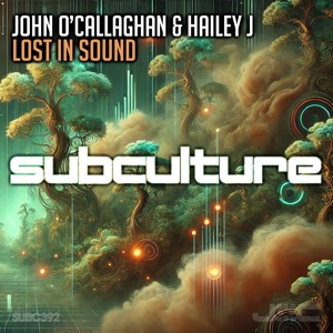 Lost in Sound (Extended Mix)
