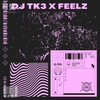 FEELZ X DJ TK3 (LOCKED) (feat. DJ TK3) - Single - FEELZOFICIAL 12