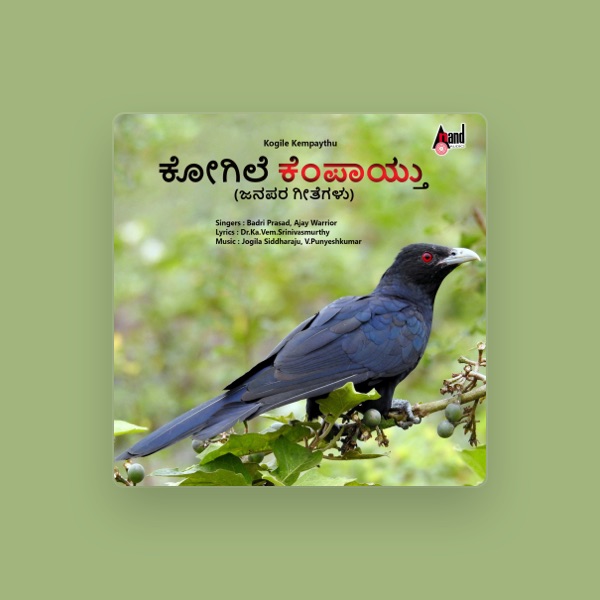 Badri Prasad's avatar