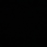 Chicken race - Single - Janxymarr